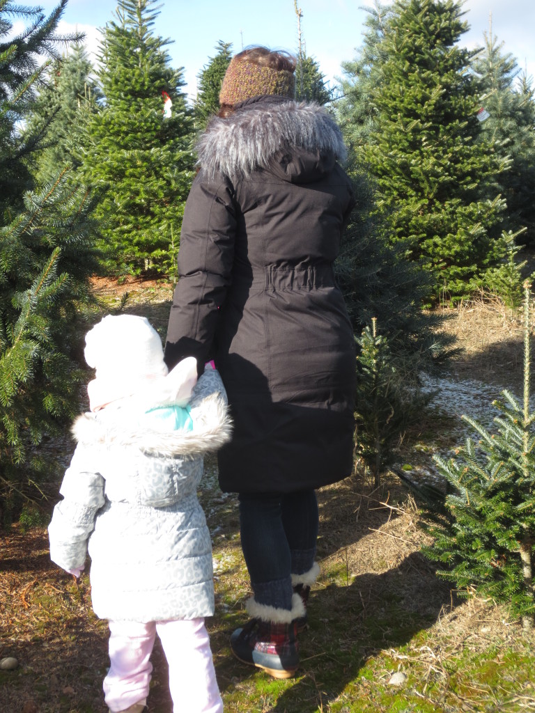 tree picking - ade and bella walking