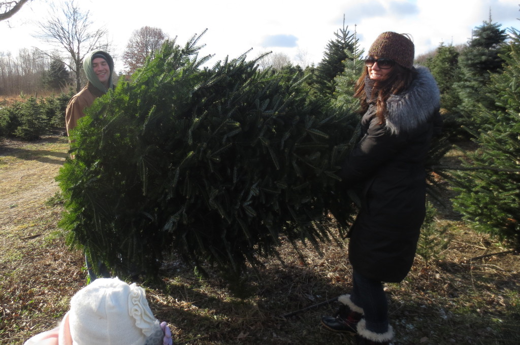 tree picking - ade and scott carrying first tree