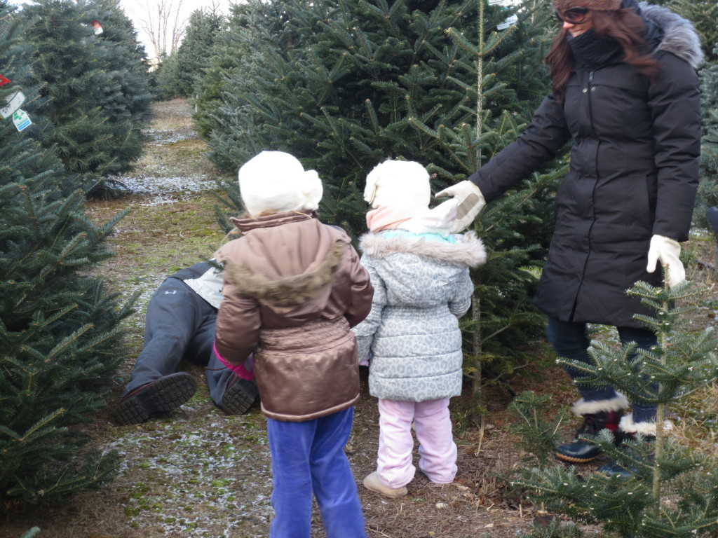 tree picking - b and s with daddy cutting