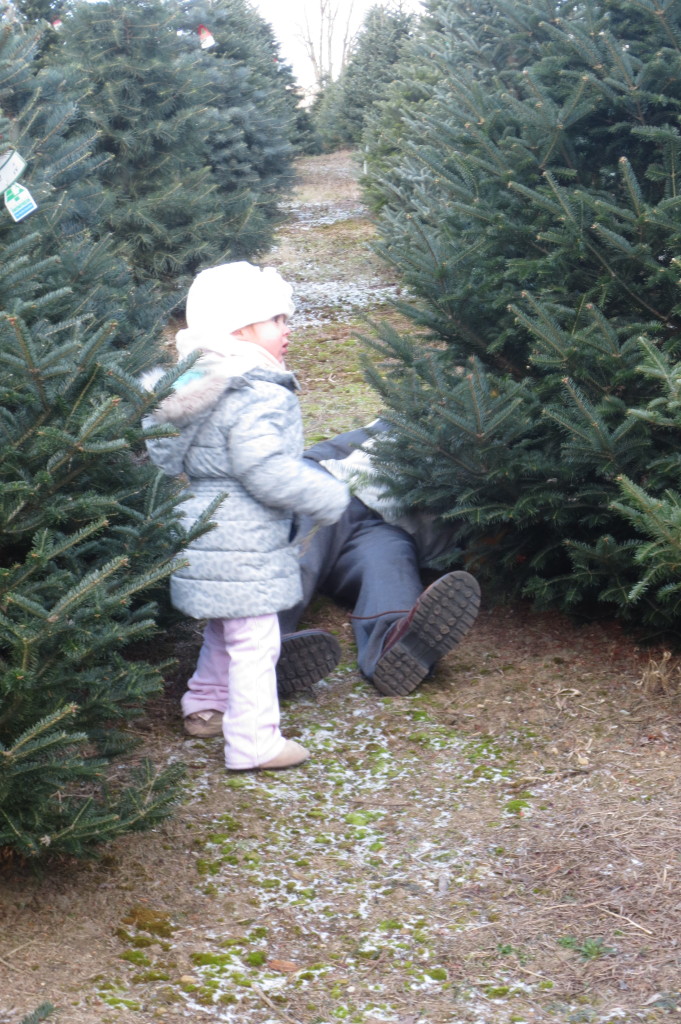 tree picking - bella with daddy cutting