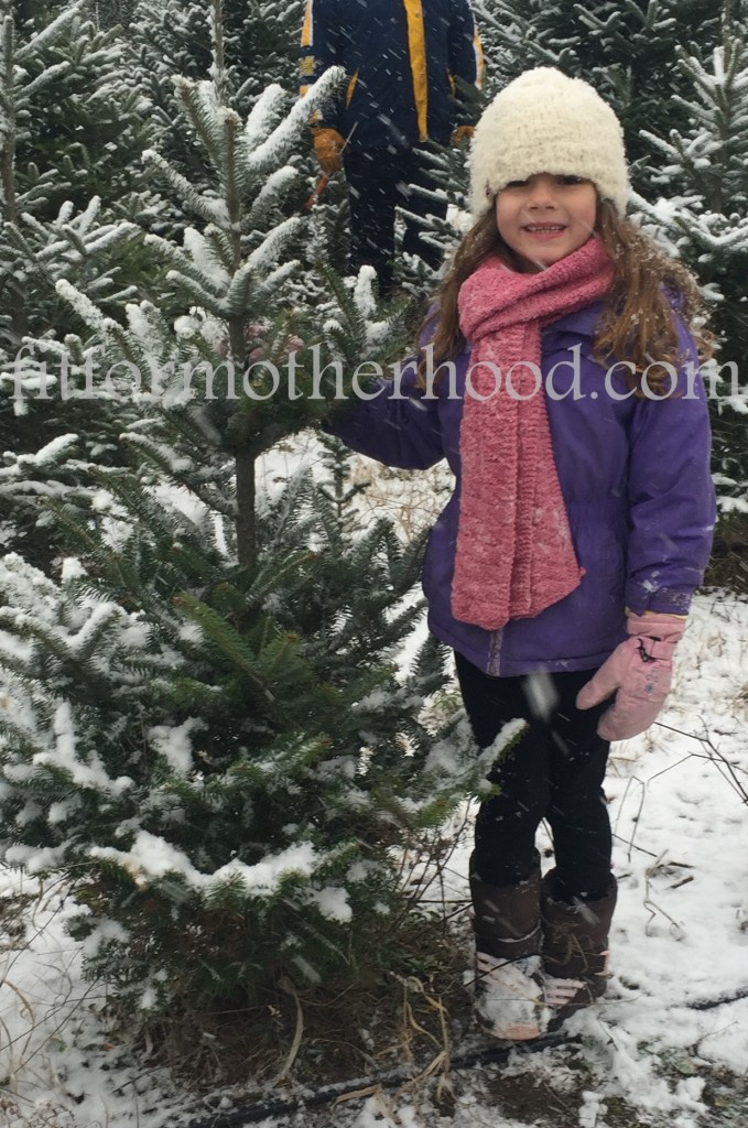 mimm - tree hunting 2015 sophia