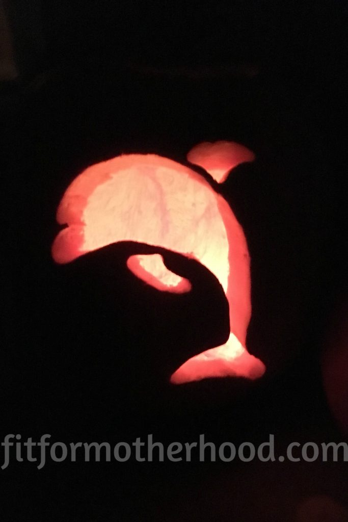 october-2016-pumpkin-sophias-dolphin-2