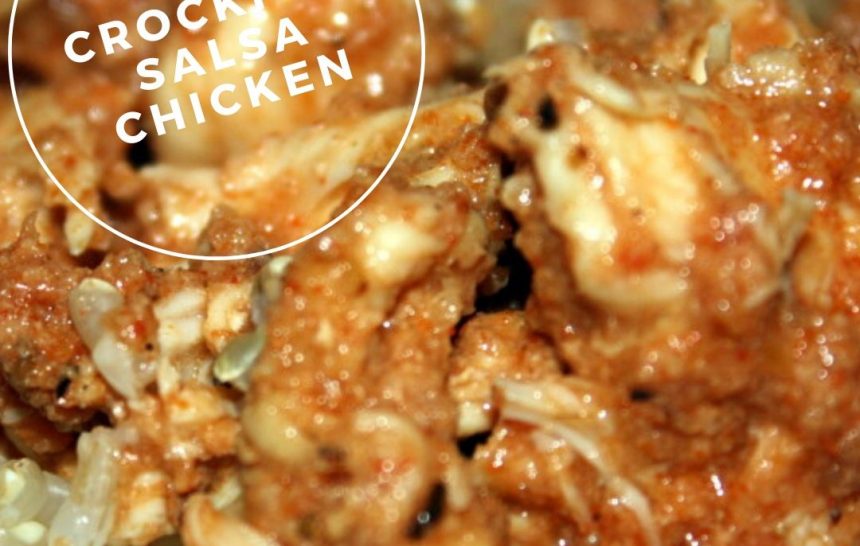 Crockpot Salsa Chicken